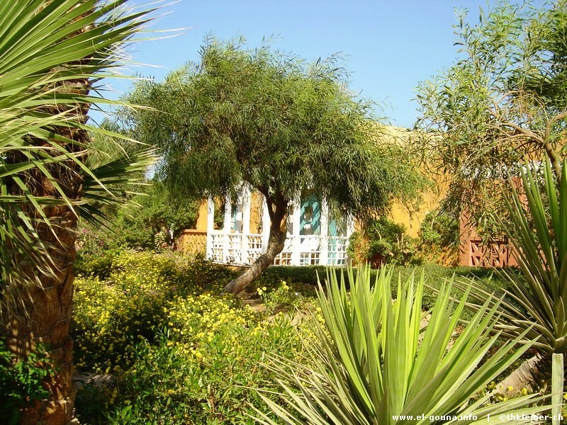 Hotel Sheraton Miramar Resort El Gouna 04473